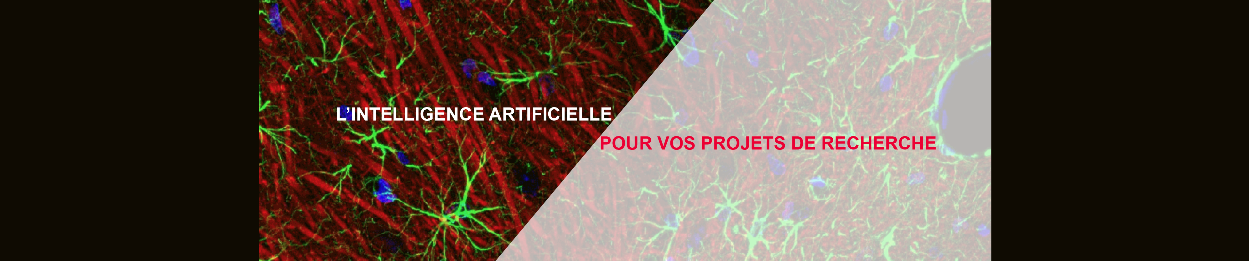 Accueil