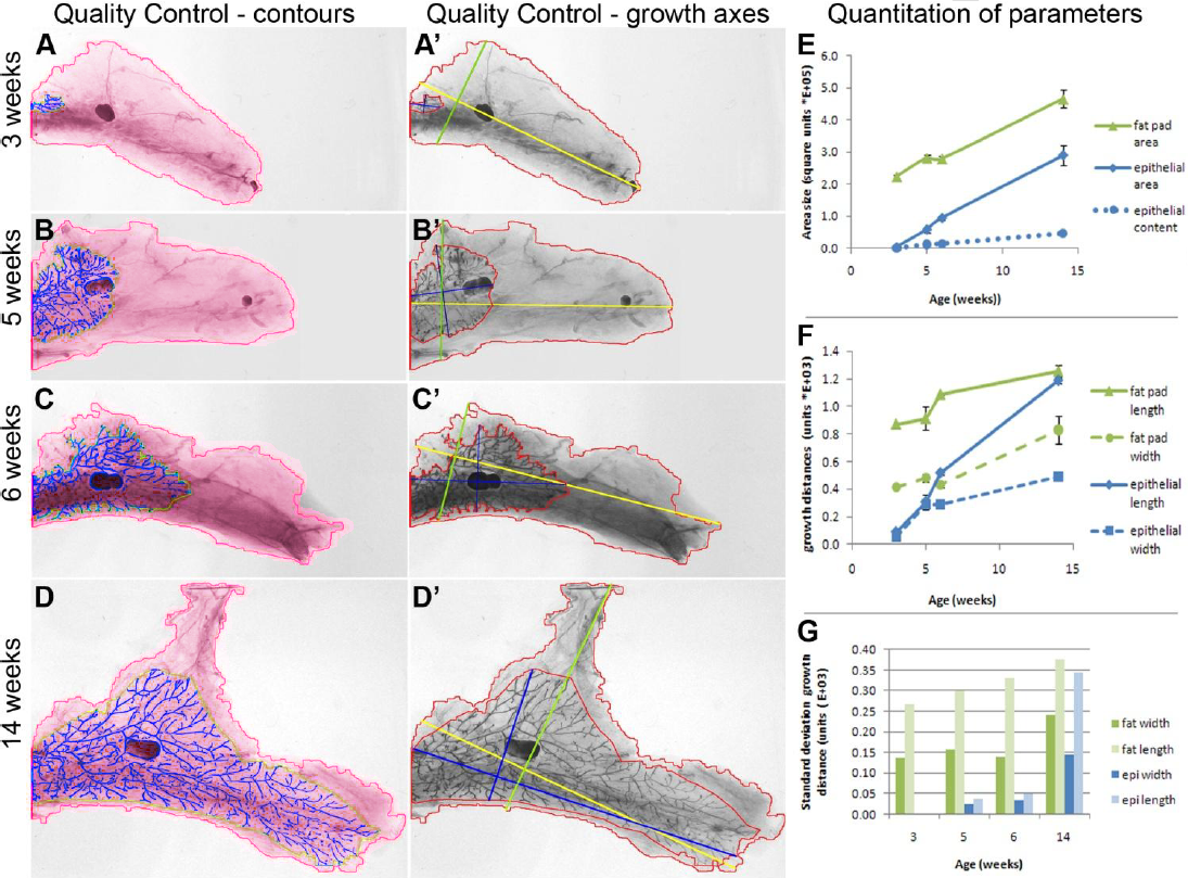 morphologie organe monitoring organ