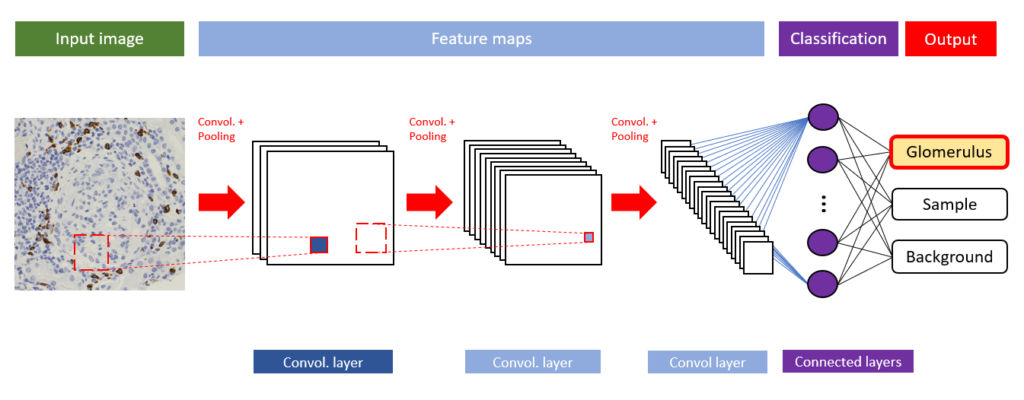 deep learning