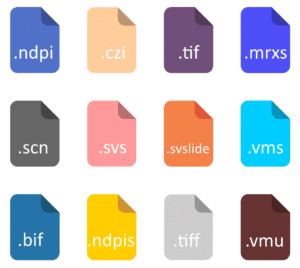 file formats slide scanners