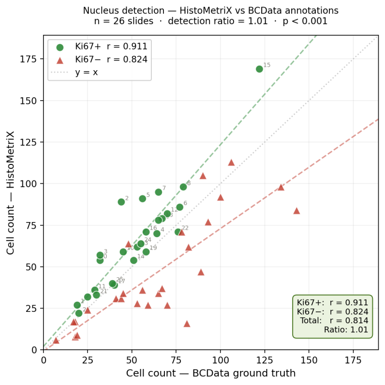 Fig. 2 — Nucleus detection: HistoMetriX vs BCData expert annotations (n = 26). Ki67+ in green (r = 0.911), Ki67− in red (r = 0.824). Detection ratio = 1.01.