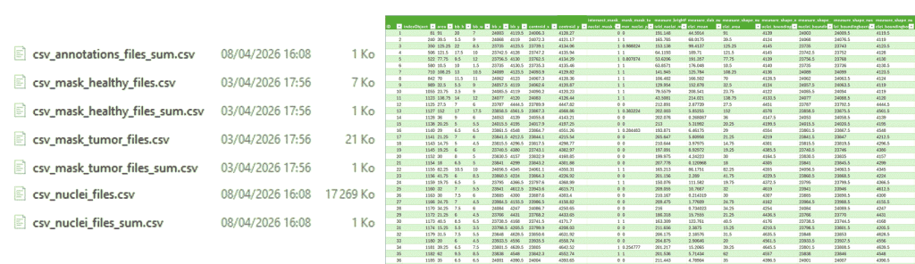 Different csv files are generated and can be displayed in third party software. An example of cells csv loaded in Excel where each line correspond to a single cell