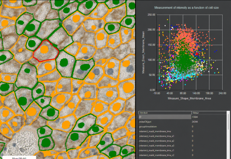 Visualization of the results on a detected object