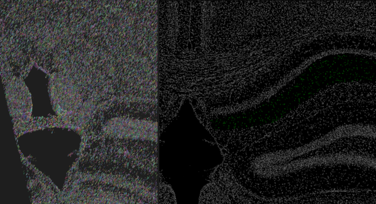 3D brain tissue analysis 3D brain tissue analysis with 3D cell segmentatiopn and gating on brain area