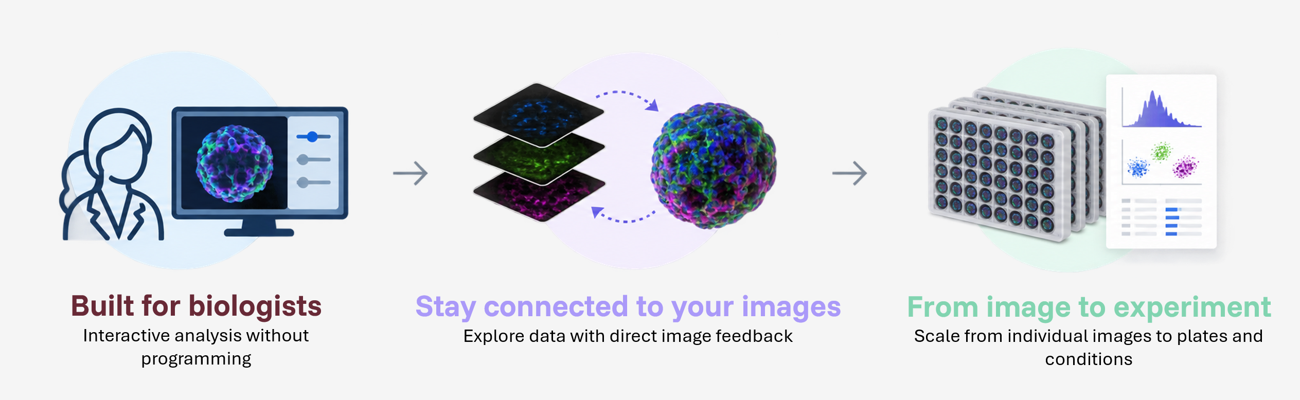 AssayScope workflow for biological 3D image analysis AssayScope workflow from interactive 3D image analysis to quantitative analysis of plate-based experiments