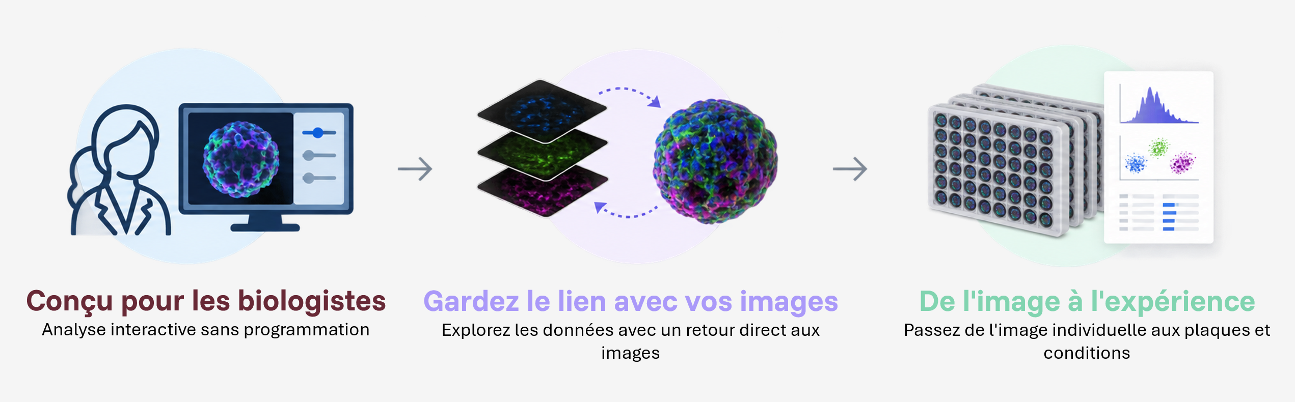 AssayScope workflow for biological 3D image analysis AssayScope workflow from interactive 3D image analysis to quantitative analysis of plate-based experiments