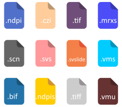 file formats slide scanners